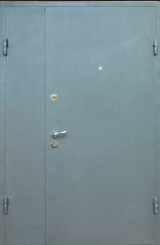 Дверь тамбурная Двербург ТБ6 стальная в подъезд 120см х 200см